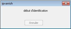 ipvanish idm