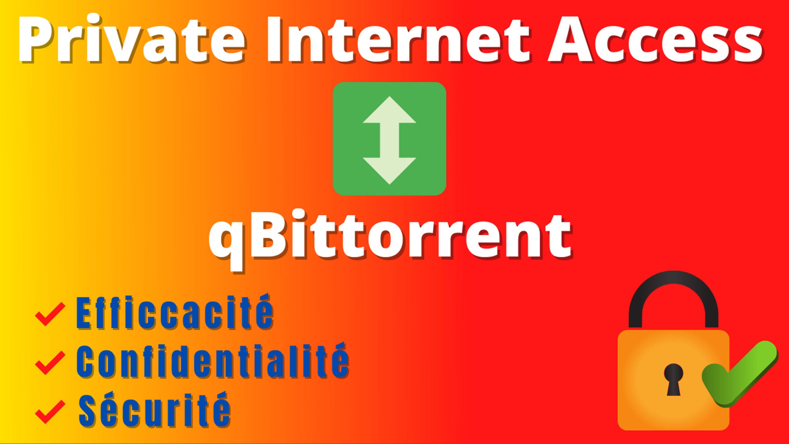 Private Internet Access - Meilleur VPN pour le Torrent 18