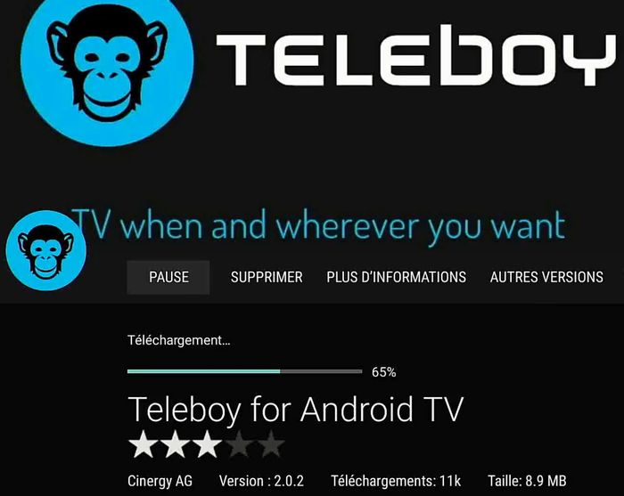 Chaînes TF1 et M6 gratuites sur BOX Android TV sans Molotov 5