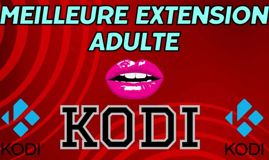 Meilleur addon pour adultes sur KODI 21 Omega
